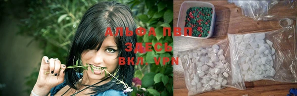 прущие грибы Касимов