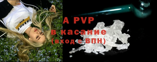 прущие грибы Касимов