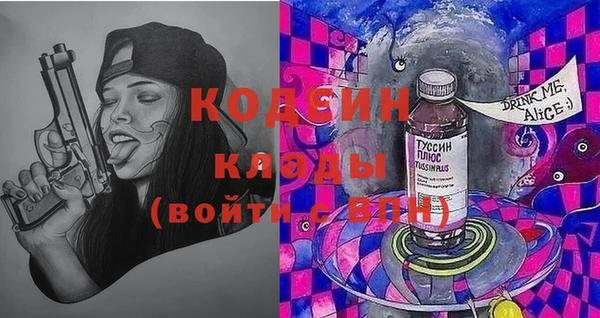 хмурый Карпинск
