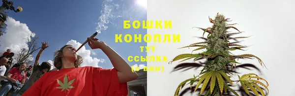 хмурый Карпинск