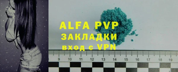 хмурый Карпинск