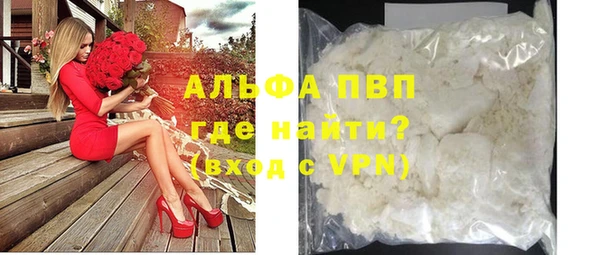 прущие грибы Касимов