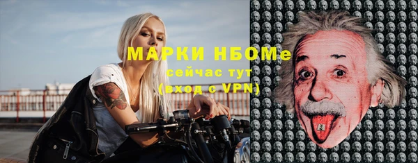 хмурый Карпинск