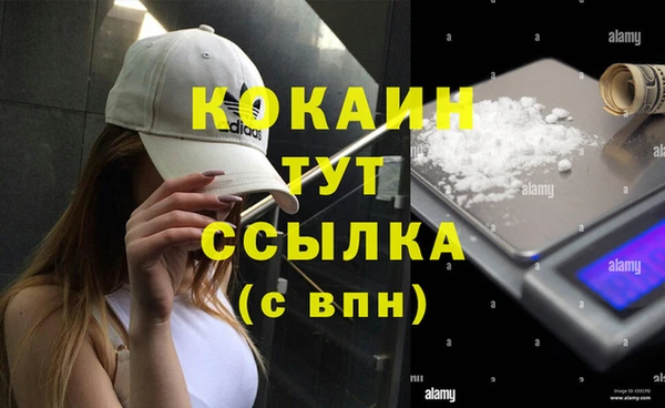 мдпв Кинешма