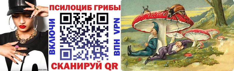 Псилоцибиновые грибы Psilocybine cubensis Вяземский
